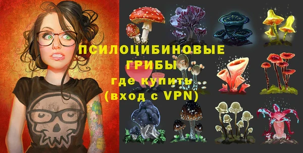герыч Сафоново