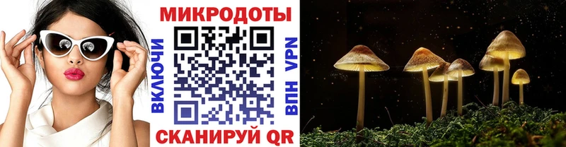 Псилоцибиновые грибы GOLDEN TEACHER  Лысьва 